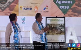 Menteri Darmin Diminta Beri Nama untuk Bayi Anoa Lucu Ini - JPNN.com