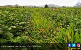 Kementan Dorong Petani Tetap Produktif meski Kemarau - JPNN.com