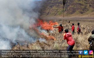 Kebakaran Menjalar ke Bukit Teletubbies, Menuju ke Kawah - JPNN.com