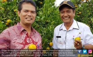 Kementan Dorong Pengembangan Cluster Kawasan Jeruk di Bali - JPNN.com