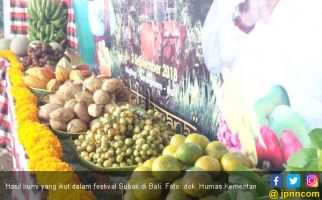 Festival Subak Karangasem Jadi Ajang Promosi Hortikultura - JPNN.com