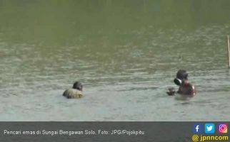 Musim Kemarau, Pencari Emas Sibuk di Sungai Bengawan Solo - JPNN.com