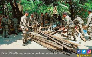 Satpol PP Sidoarjo Bersih-Bersih Bangli - JPNN.com