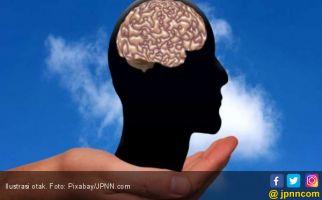 Tingkat Stres Yang Tinggi Menyebabkan Otak Menyusut? - JPNN.com