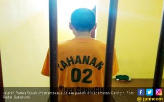 12 Anak jadi Korban Pedofil Sukabumi, Bisa Bertambah - JPNN.com