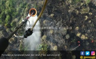 Lereng Argopuro Terbakar Lagi, Diduga Ada Orang Iseng - JPNN.com