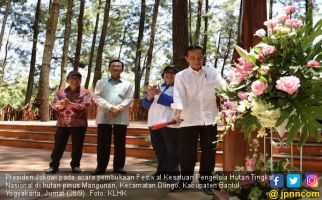 Presiden: Hutan Berperan Sebagai Sumber Penghidupan Rakyat - JPNN.com