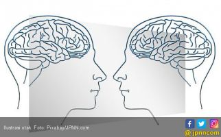 Benarkah Lemak Tubuh Pengaruhi Volume Otak? - JPNN.com