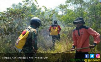 Manggala Agni Tinanggea Amankan Bandara dari Asap Karhutla - JPNN.com