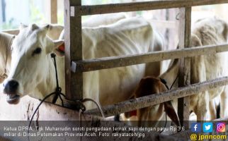 Ketua Dewan Soroti Pengadaan Sapi DOKA di Aceh Tenggara - JPNN.com