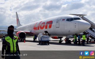 Ada Kalajengking di Kabin Pesawat, Begini Respons Lion Air - JPNN.com