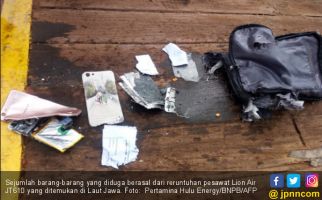 Babel Berangkatkan Keluarga Korban Lion Air JT610 ke Jakarta - JPNN.com