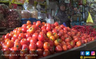 Harga Tomat dan Sayur Terjun Bebas, Pedagang Pusing - JPNN.com