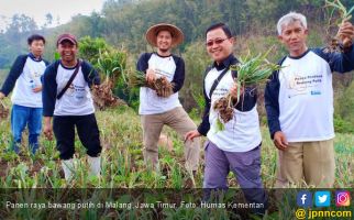 Sentra Bawang Putih Terbentuk, Swasembada 2021 Bisa Dicapai - JPNN.com
