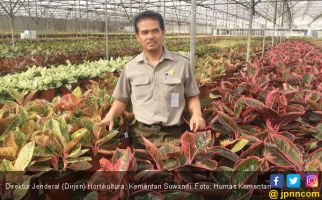 Dirjen Hortikultura Pangkas Proses Izin Ekspor Tanaman Hias - JPNN.com