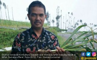Dari Aceh Sampai Papua, Bawang Putih Mulai Menghampar - JPNN.com
