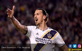 Ibrahimovic dan Bale Mengeluhkan Hal Yang Sama, Ternyata Selama Ini.... - JPNN.com