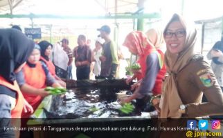 Kementan Dorong Tanggamus Bangun Kemitraan Hortikultura - JPNN.com