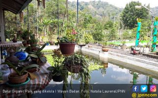 Cantiknya Batur Organic Park di Antara Tambang Galian C - JPNN.com