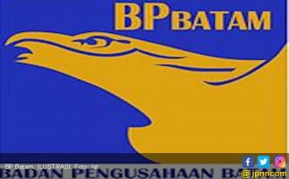 Pengamat: Peleburan Kepemimpinan BP Batam Salah Kaprah - JPNN.com