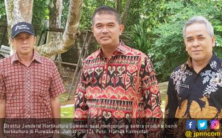 Purwakarta Dipacu Tingkatkan Mutu Benih Hortikultura - JPNN.com