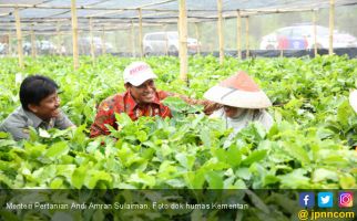Gebrakan Mentan Andi Amran Bikin Neraca Perdagangan Pertanian Surplus - JPNN.com