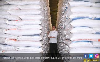 Bulog Impor Bawang Putih, Jokowi Terancam Ditinggal Pemilih - JPNN.com