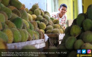 Jangan Takut Makan Durian, Simak nih Penjelasan Pakar Gizi - JPNN.com