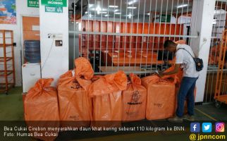 Bea Cukai Cirebon Serahkan Paket Berisi Daun Khat ke BNN - JPNN.com