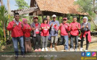 Dukung Ekonomi Rakyat, PSI Promosikan Kampung Bonsai Lamongan - JPNN.com