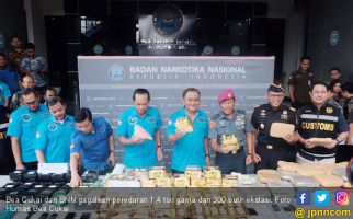 Bea Cukai dan BNN Berhasil Gagalkan Peredaran 1,4 Ton Ganja dan 300 Butir Ekstasi - JPNN.com