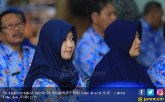 Hingga 4 Februari, Baru 21.359 NIP CPNS Hasil Seleksi 2018 - JPNN.com