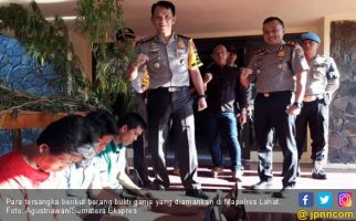 Polisi Buru Penanam dan Pemasok Bibit Ganja ke Lahat - JPNN.com