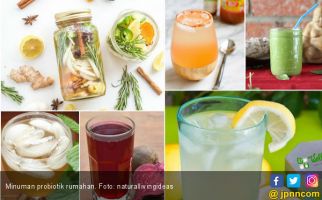 8 Minuman Probiotik yang Bisa Dibuat di Rumah, Catat Resepnya - JPNN.com