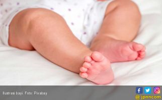 Bayi Baru Lahir Ditemukan Pemulung, Sudah Dikerumuni Lalat - JPNN.com