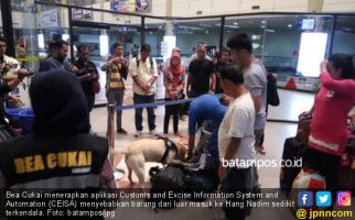 BC Terapkan Aplikasi CEISA, Barang Masuk ke Batam Jadi Lambat - JPNN.com