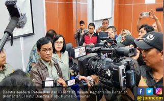 Fakta Debat Capres: Impor Jagung Pakan Ternak Turun Spektakuler - JPNN.com
