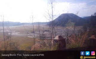 Gunung Bromo Erupsi, Warga Dilarang Beraktivitas di Radius 1 Km dari Puncak - JPNN.com