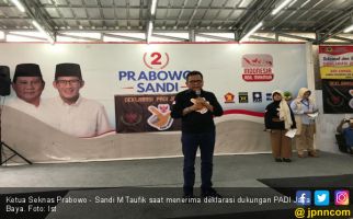 PADI Jaya Baya: Jangan Sampai Jokowi Dua Periode - JPNN.com