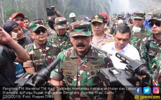 Panglima TNI Siapkan Dua Strategi Memadamkan Kathutla di Pulau Rupat - JPNN.com