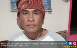 Sakit Hati, Warga OKI Nekat Bakar Lahan Kebun Tebu Milik PT PNS - JPNN.com