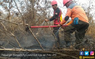 Kisah Perjuangan Manggala Agni I: Tak Lelah Mendinginkan Bara Api di Bawah Kaki - JPNN.com