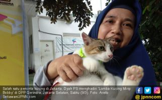 Sahabat Bobby Gelar Lomba Kucing Mirip Milik Prabowo - JPNN.com