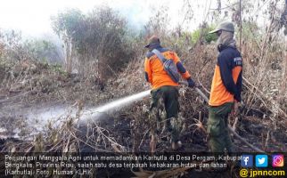 KLHK: Satu Kali Lalai, 150 Hektare Lahan Bisa Terbakar Selama Sehari - JPNN.com