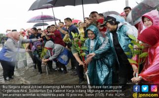 Iriana Jokowi Pimpin Penanaman Mangrove di 10 Provinsi - JPNN.com