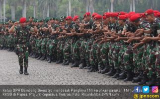 Ketua DPR Desak Panglima TNI Kerahkan Pasukan Tumpas KKSB - JPNN.com