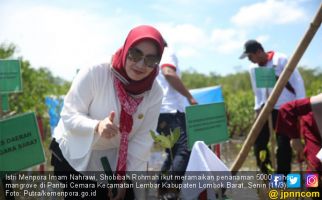 Penasihat DWP Kemenpora Shobibah Rohmah Tanam 5000 Pohon Mangrove di Lombok Barat - JPNN.com