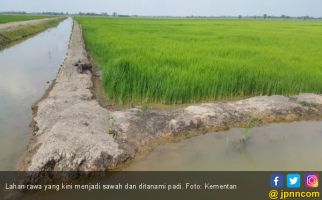 Kementan Optimistis Program Serasi di Kalimantan Selatan Sesuai Harapan - JPNN.com