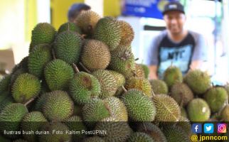 Durian Indonesia Siap Akhiri Dominasi Musang King Malaysia di Pasar Tiongkok - JPNN.com