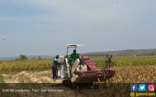 Petani: Tidak Betul Food Estate Kalteng Gagal Panen - JPNN.com